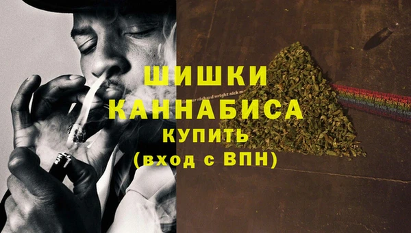 ПСИЛОЦИБИНОВЫЕ ГРИБЫ Аркадак