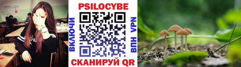 гидра как войти  Сланцы  Псилоцибиновые грибы MAGIC MUSHROOMS 
